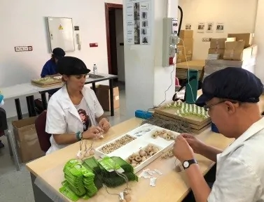 مستخدم من FUNDOWN يعمل