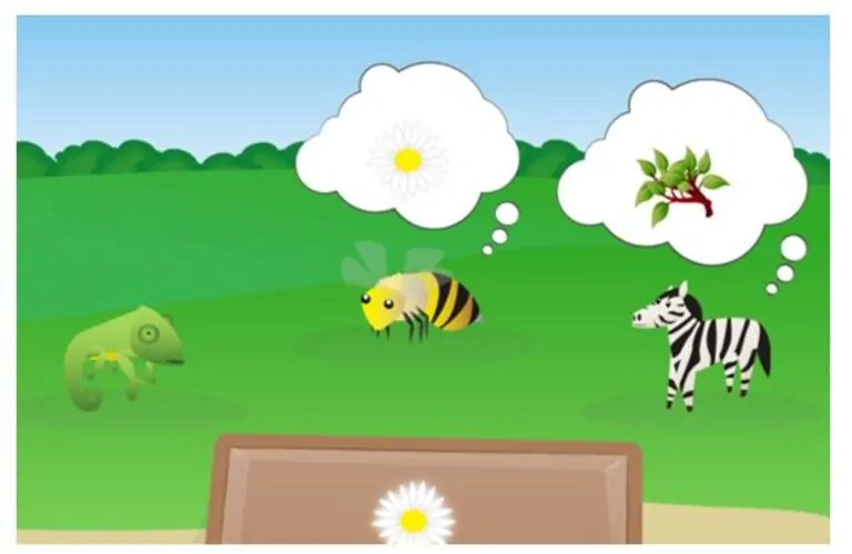 مطعم الحيوانات.