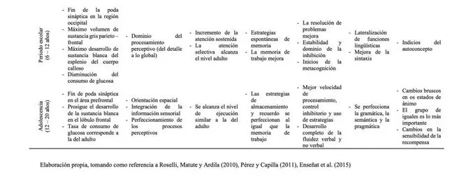 Trastornos del neurodesarrollo y su impacto en las funciones cognitiva
