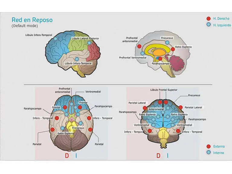 ما هو الانتباه؟ التعريف، المشكلات والأنشطة للعمل عليه