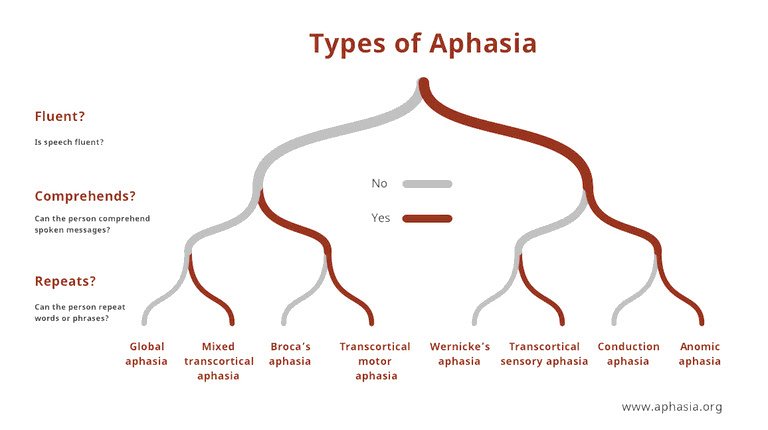 Tipos de afasia. Perfiles clínicos de la afasia. 