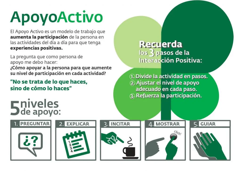Metodologías preventivas de problemas de conducta: Apoyo activo 5 niveles de Apoyo Activo