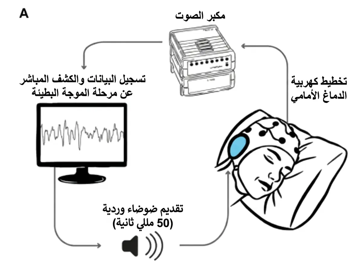 مخطط التحفيز السمعي المتزامن مع الموجات البطيئة للنوم.