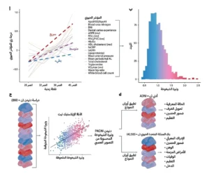تطوير DunedinPACNI والتحقق من صلاحيته. مقال بحثي من NeuronUP.