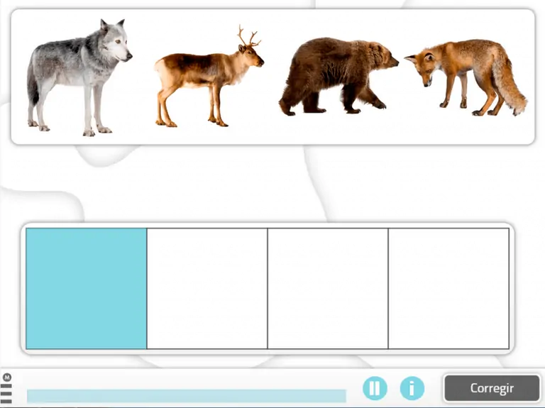 Quatro animais realistas (lobo, cervo, urso e raposa) sobre fundo branco, com área inferior dividida para ordenar sequências.