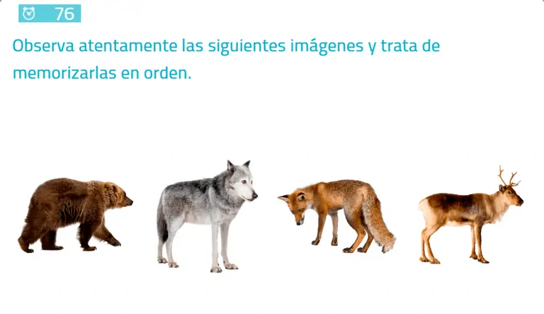 Quatro animais alinhados: urso pardo, lobo cinza, raposa ruiva e cervo com chifres, com instrução para memorizar sua ordem.