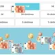 Moedas e notas em euros, organizadas para classificar por valor, em uma atividade de gnosias visuais para adultos.