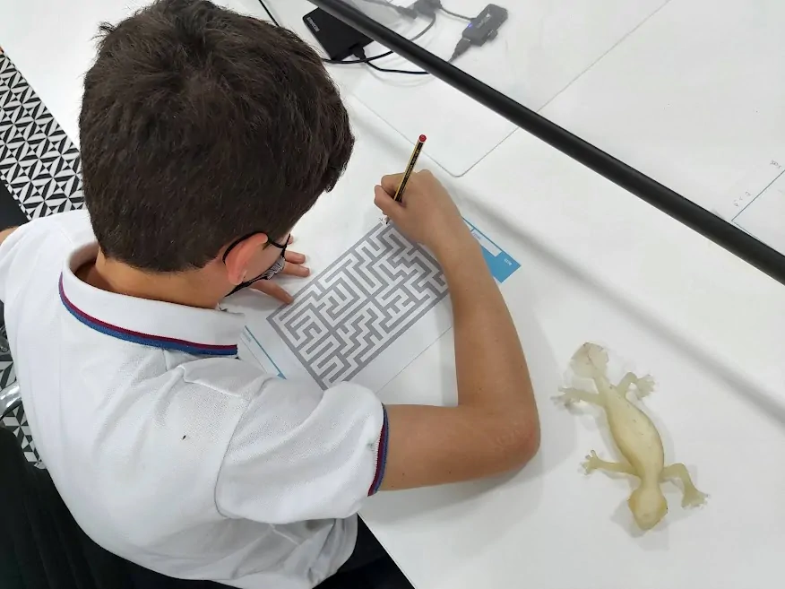 Niño sentado a una mesa, concentrado en resolver un laberinto con lápiz, junto a una figura de reptil y fondo geométrico.