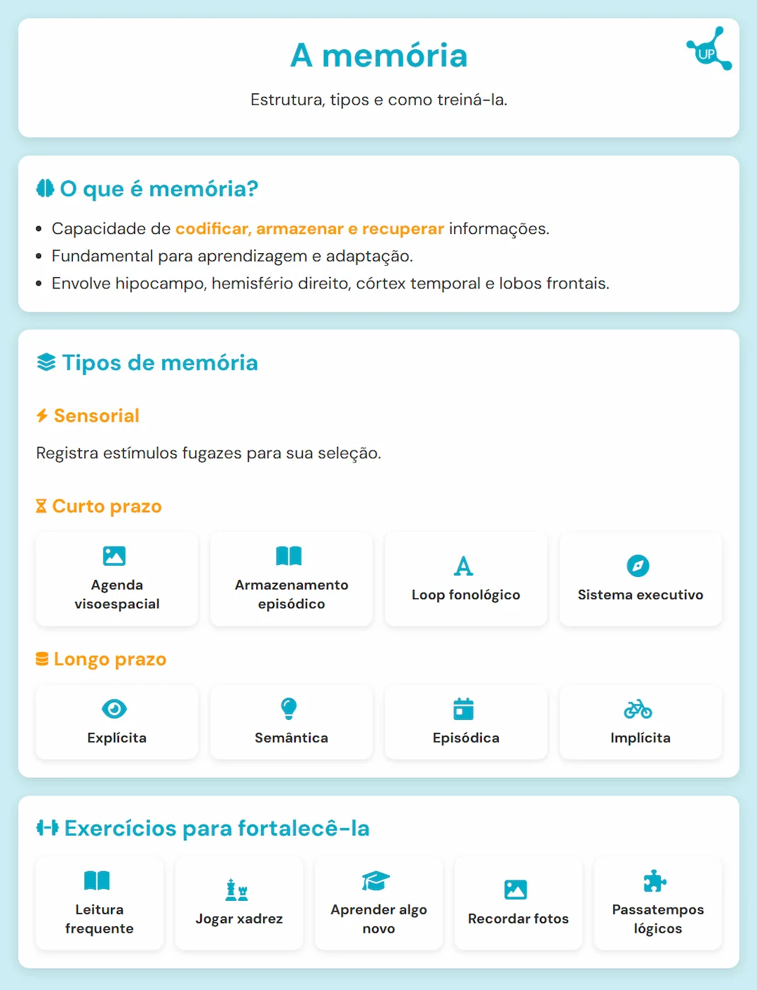Infográfico sobre a memória - Estructura, tipos e como treiná-la.