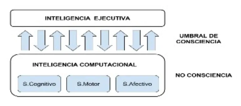 Esquema comparativo que contrasta Inteligência Executiva, Limiar de Consciência e Inteligência Computacional (S. Cognitivo, S. Motor e S. Afetivo) com Não Consciência.
