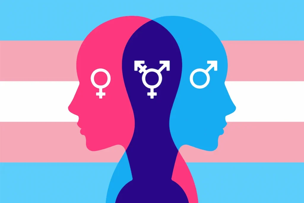 Duas silhuetas de perfis humanos, uma em rosa e outra em azul, sobrepostas sobre faixas rosa, azul e branco com símbolos de gênero no interior.