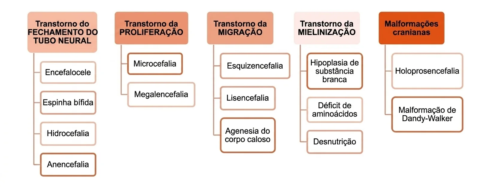 Diagrama esquemático de transtornos do neurodesenvolvimento precoce: fechamento, proliferação, migração e malformações cranianas.