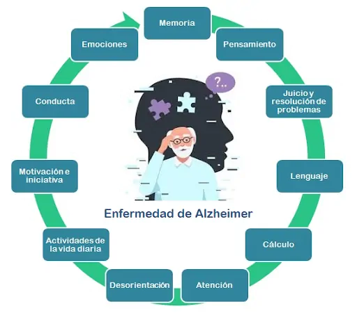 Diagrama educativo do Alzheimer com centro Doença de Alzheimer e blocos para Memória, Emoções, Pensamento e Atenção.