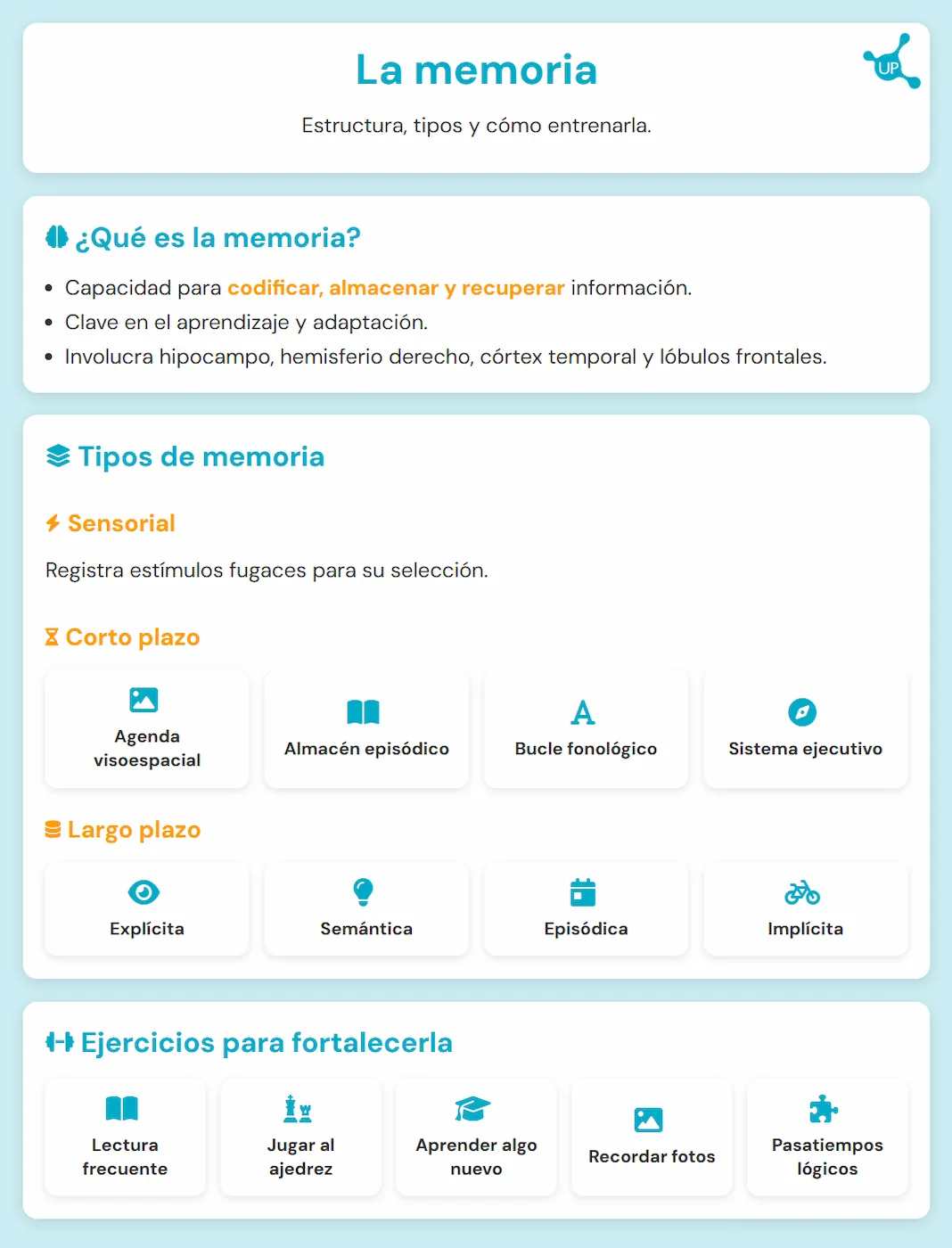 Infográfico educativo sobre a memória: definição e tipos (sensorial, curto e longo prazo) com exercícios e gráficos.