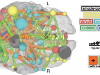 Diagrama de nós cerebrais e redes atencionais com interações entre regiões para a atenção.