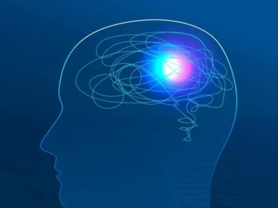 Perfil de cabeça com cérebro interior e áreas iluminadas, mostrando sistemas de memória e sua interação.