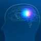 Perfil de cabeça com cérebro interior e áreas iluminadas, mostrando sistemas de memória e sua interação.