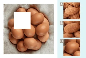 Ficha para trabalhar as gnosias visuais em crianças: Complete a imagem.