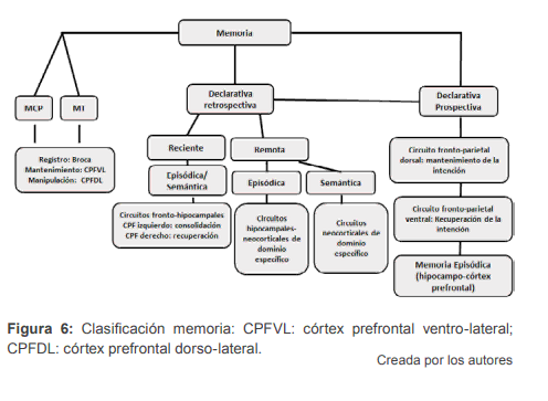 Diagrama da memória humana: declarativa retrospectiva e prospectiva, e circuitos como CPFVL, CPFDL e conexões com o hipocampo.