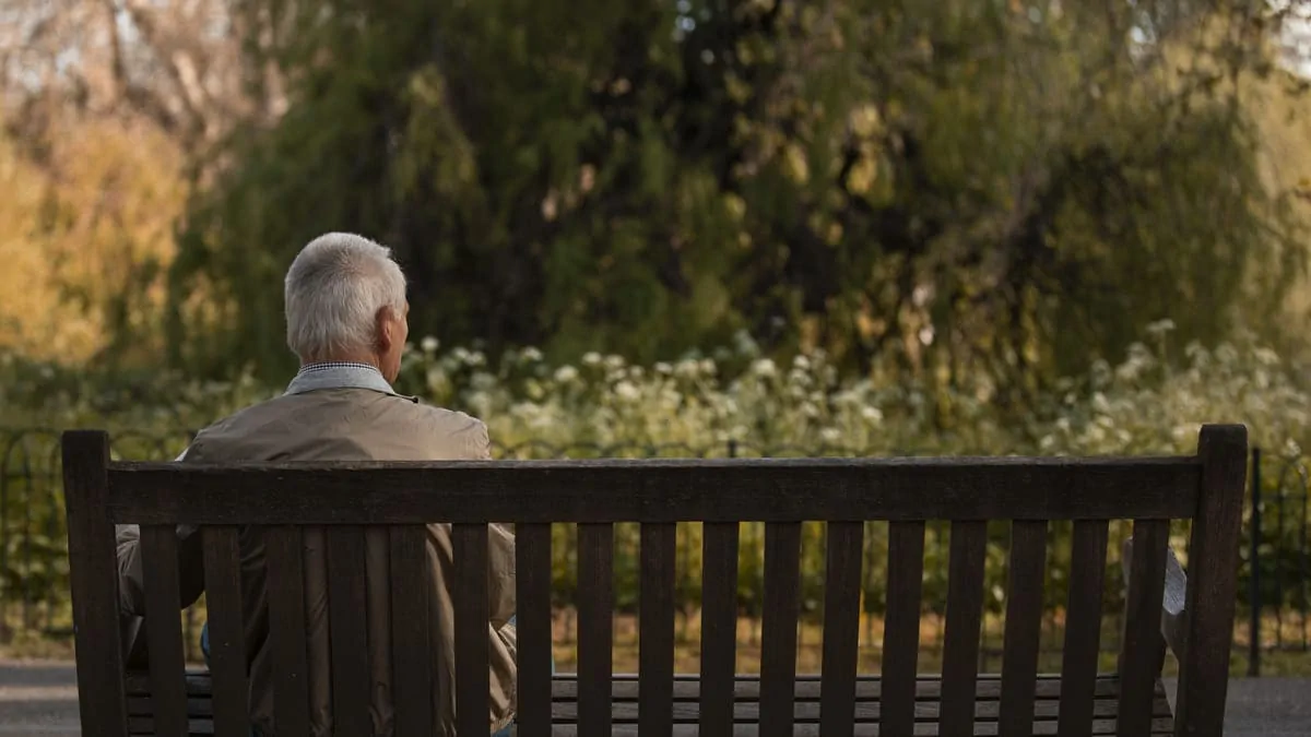 Homem idoso sentado em um banco de madeira em um parque, visto de costas, com ambiente natural e luz suave.