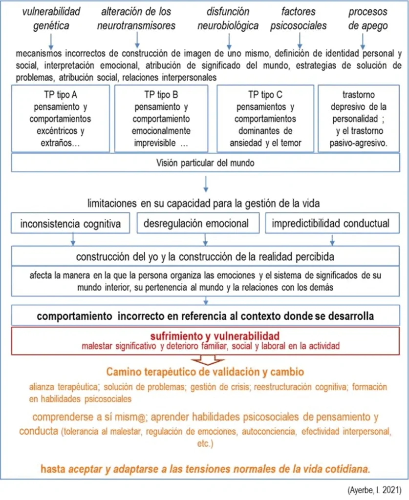 Diagrama educativo sobre transtorno de personalidade, com vulnerabilidades genéticas, neurobiologia e fatores psicossociais.