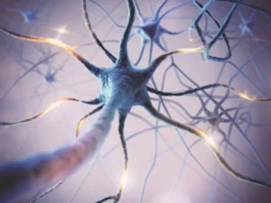 Representação gráfica de neurônios conectados, com axônios e dendritos visíveis e iluminação que sugere atividade elétrica.