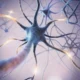 Representação gráfica de neurônios conectados, com axônios e dendritos visíveis e iluminação que sugere atividade elétrica.