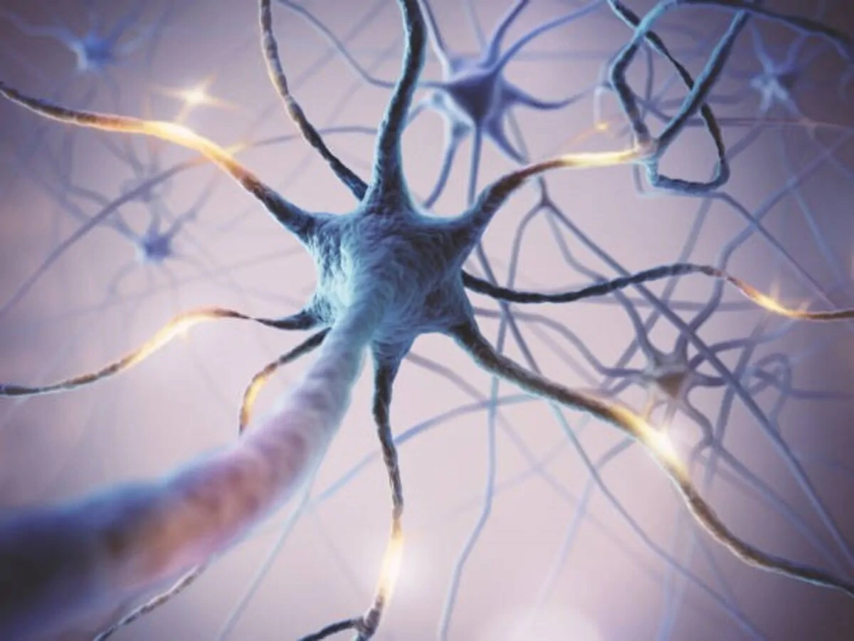 Representação gráfica de neurônios conectados, com axônios e dendritos visíveis e iluminação que sugere atividade elétrica.