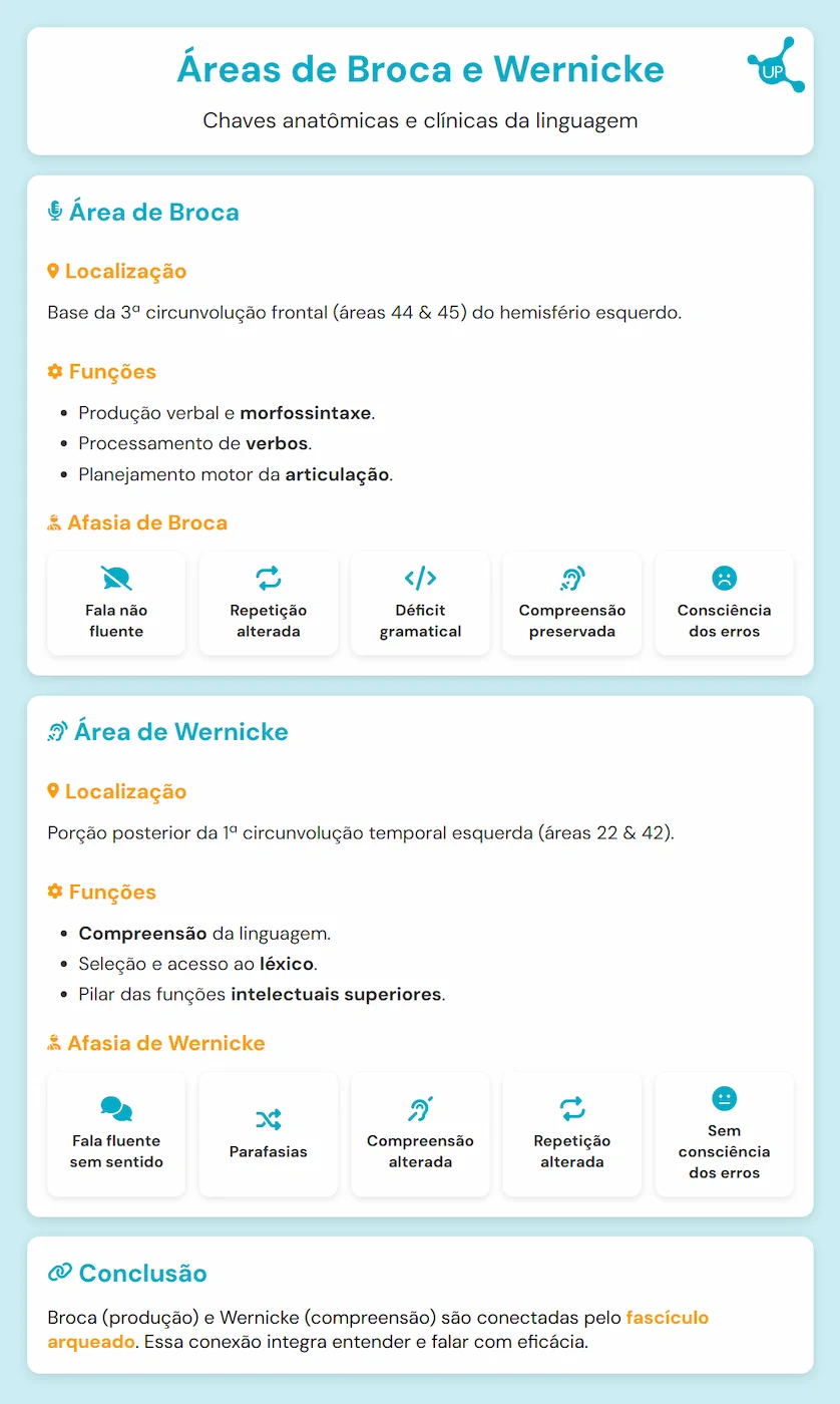 Áreas de Broca e Wernicke - Infográfico do artigo