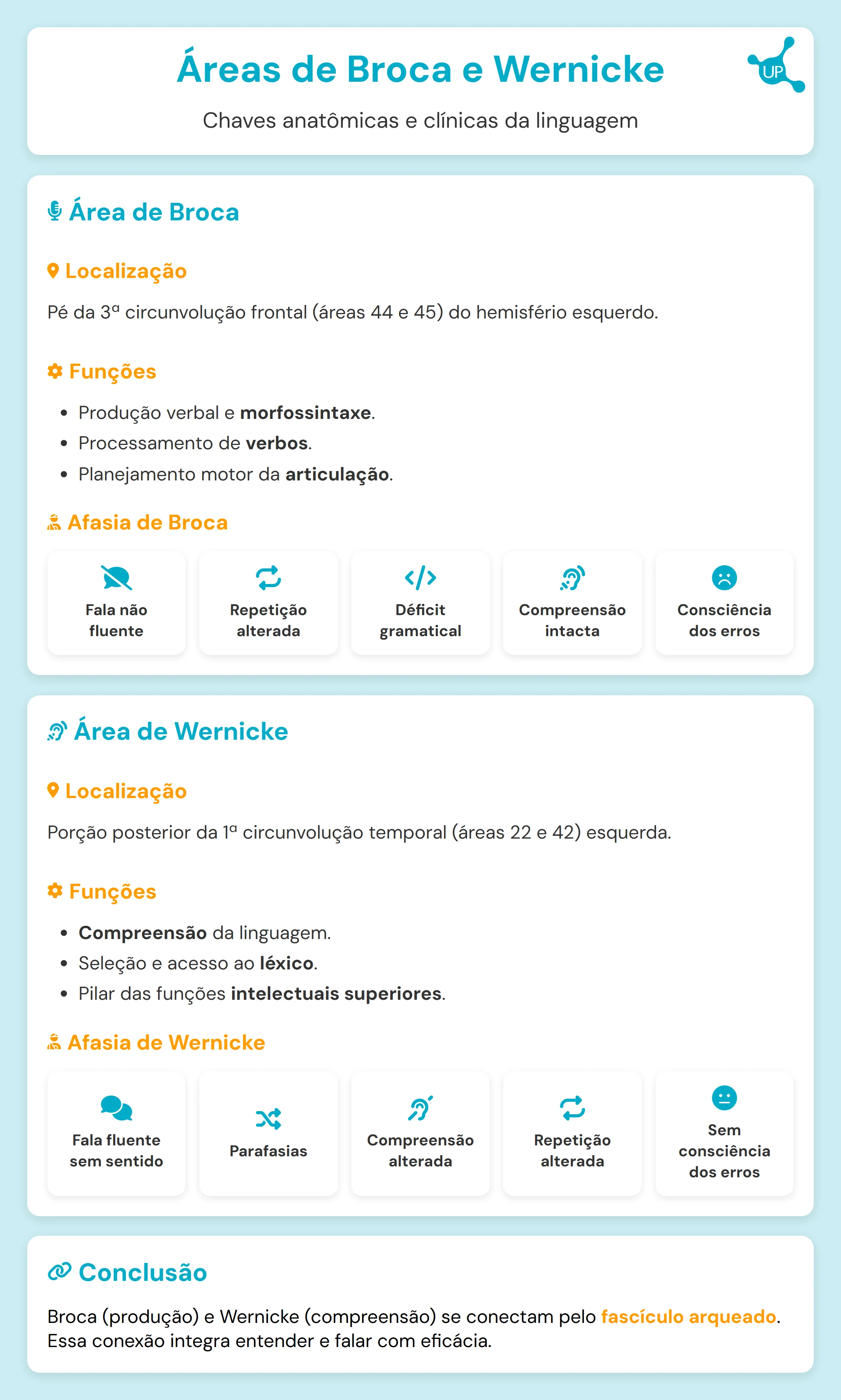 Infográfico das áreas de Broca e Wernicke no hemisfério esquerdo, com etiquetas dos lobos frontal e temporal.