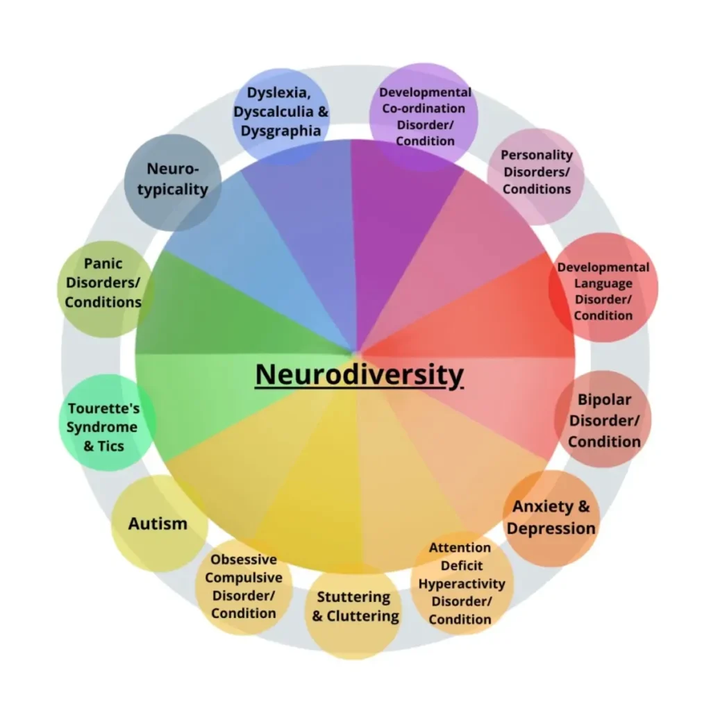 Diagrama circular com a palavra Neurodiversity no centro e setores que representam dislexia, autismo e ansiedade.