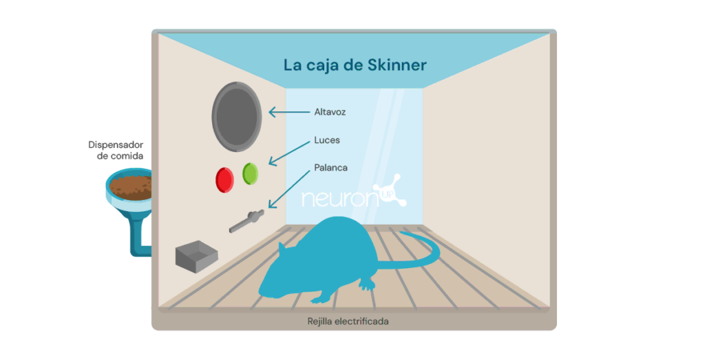 Ilustração de uma caixa de Skinner com alto-falante, luzes, alavanca e comedouro, em ambiente de neurorreabilitação cognitiva.