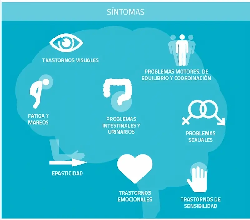 Ilustração educativa do sistema nervoso: cérebro central cercado por ícones de sintomas da Esclerose Múltipla ao redor.
