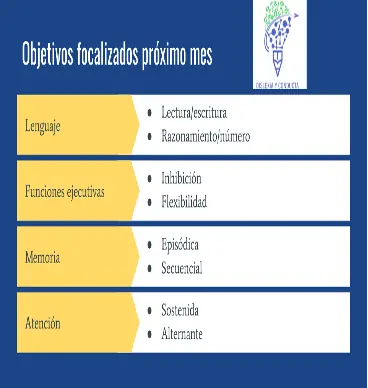 Profissional neuropsicológico revê objetivos mensais na tela, agrupados por linguagem, memória e atenção.