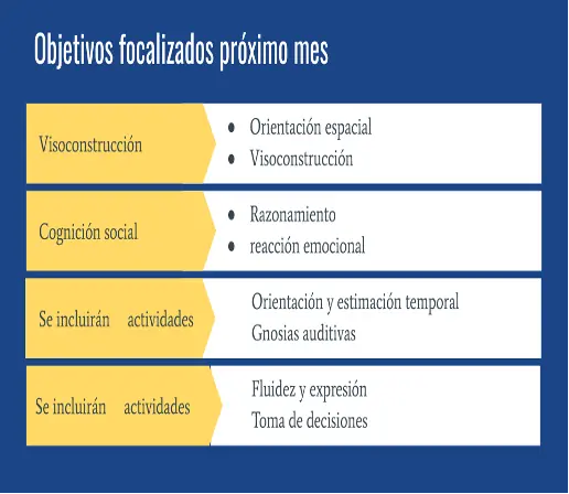 Profissional em neuropsicologia revisa esquema de objetivos por visoconstrução, cognição social e atenção, com cores.