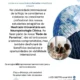 Logo conjunto UNIR Latam e NeuronUP em folheto promocional de convênio de práticas para colaboração educacional em neuropsicologia clínica.
