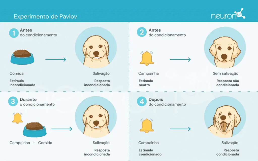 NeuronUP Labs Experimentos de Pavlov.