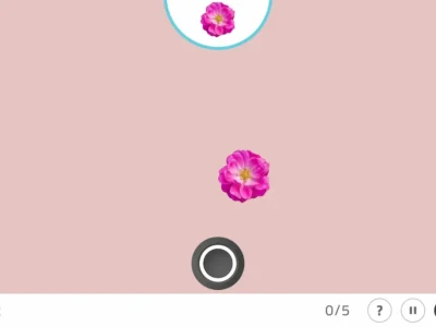 Interface do jogo de inibição para adultos no NeuronUP: flores vermelhas (rosa e gerbera) no centro e um botão Finalizar na parte inferior.
