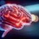 A consciência dos déficits na recuperação do dano cerebral adquirido