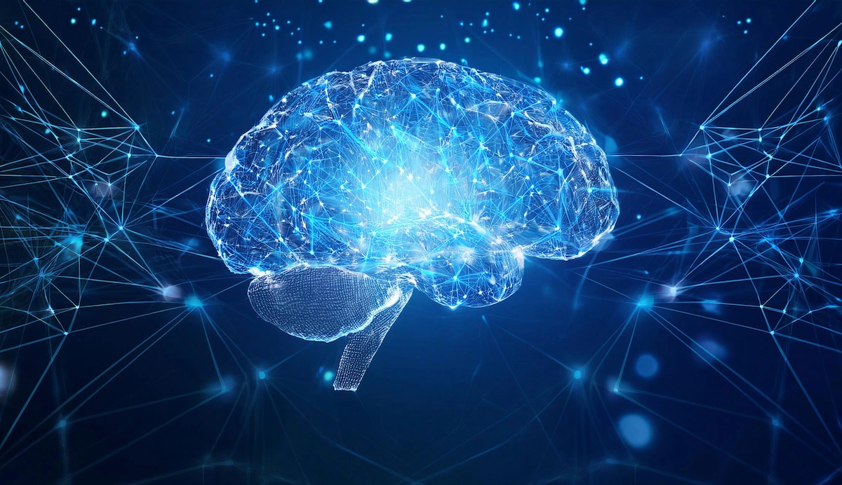 Organização funcional do cérebro: faz sentido continuar falando sobre “áreas cerebrais” na neurociência atual