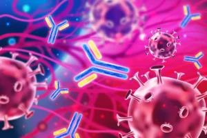 Os anticorpos antiamiloide realmente funcionam para o Alzheimer?