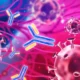 Os anticorpos antiamiloide realmente funcionam para o Alzheimer?