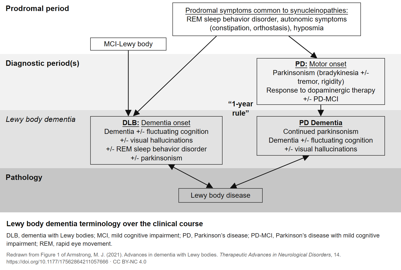 Diagrama do curso clínico: após sintomas prodrômicos comuns, se a demência surge antes do parkinsonismo ou no seu primeiro ano, diagnostica-se demência por corpos de Lewy; se surge depois, demência associada ao Parkinson. Ambas compartilham a patologia por corpos de Lewy.