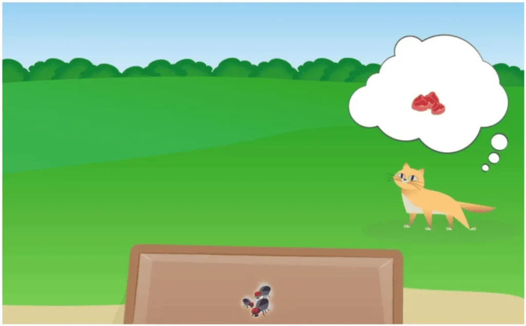 Phase 3 der NeuronUP-Aktivität Tierrestaurant.