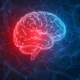 Digital illustriertes Gehirn in Rot- und Blautönen mit neuronalen Netzwerken aus ineinander verflochtenen Linien.