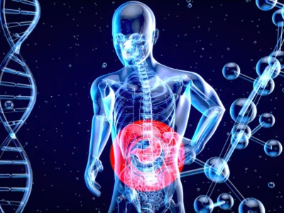 Darmmikrobiota und Alzheimer: Rolle der Darm-Hirn-Achse bei kognitiver Beeinträchtigung. Zusammenhang zwischen Darmmikrobiota und kognitiver Beeinträchtigung.