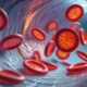 Innenansicht eines Blutgefäßes mit zirkulierenden roten Blutkörperchen, Darstellung des Plasma-p-tau217-Tests auf Alzheimer.