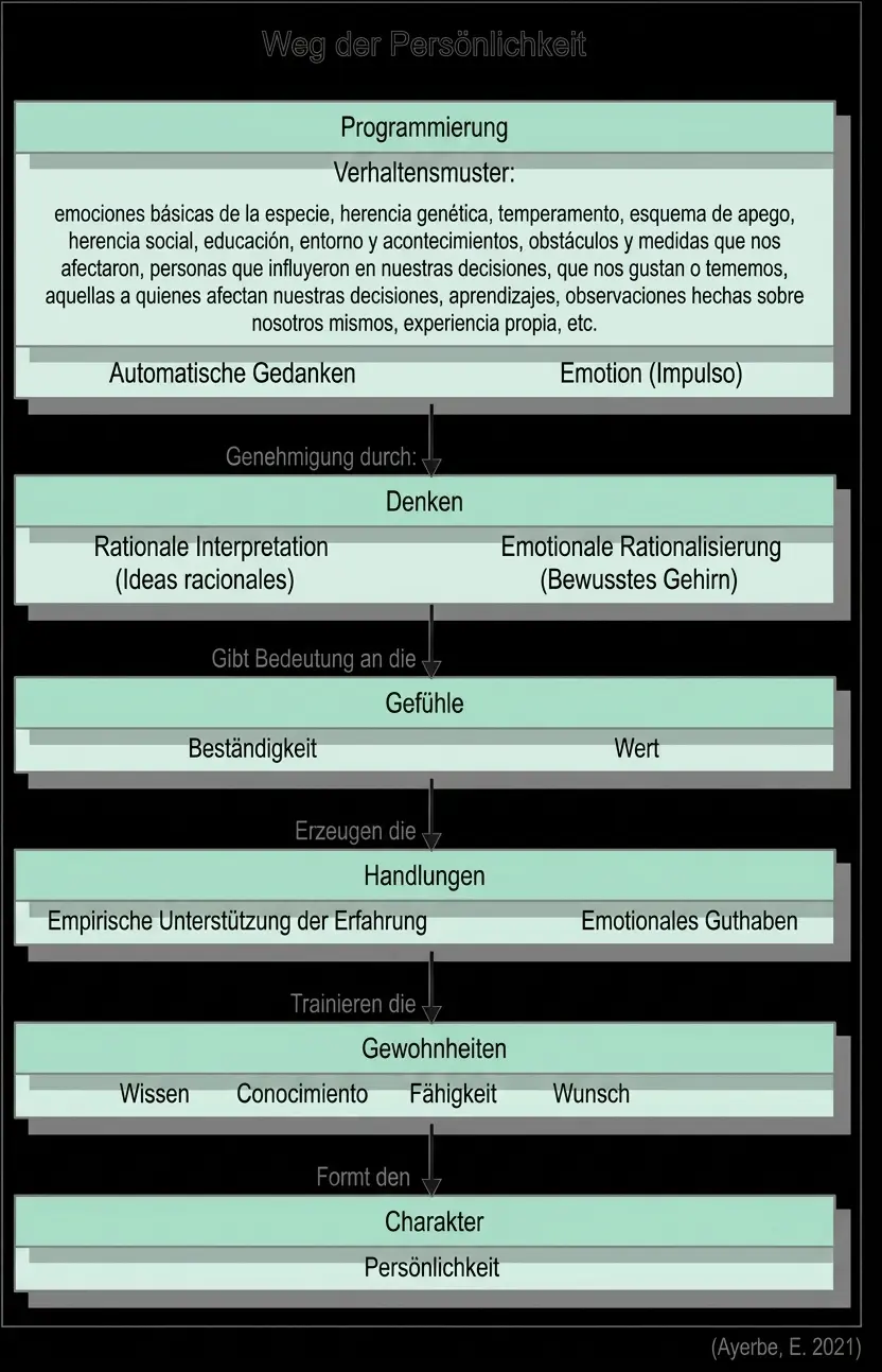 Diagramm des Persönlichkeitsrads mit Programmierung, Gedanken, Emotionen, Handlungen und Gewohnheiten als Komponenten.