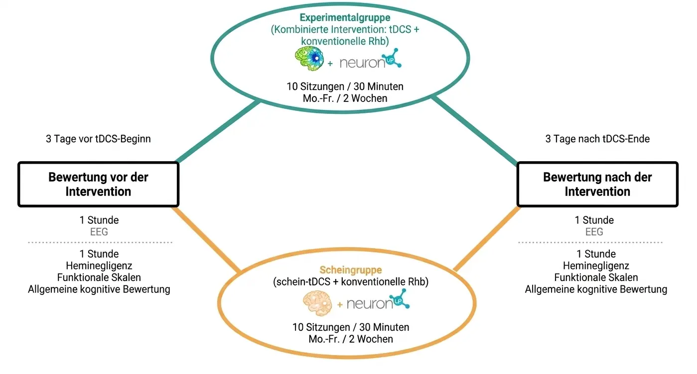 Studienschema mit Experimentalgruppe und Sham-Gruppe, tDCS/Rhb-Intervention sowie EEG-Untersuchungen vor und nach der Intervention.