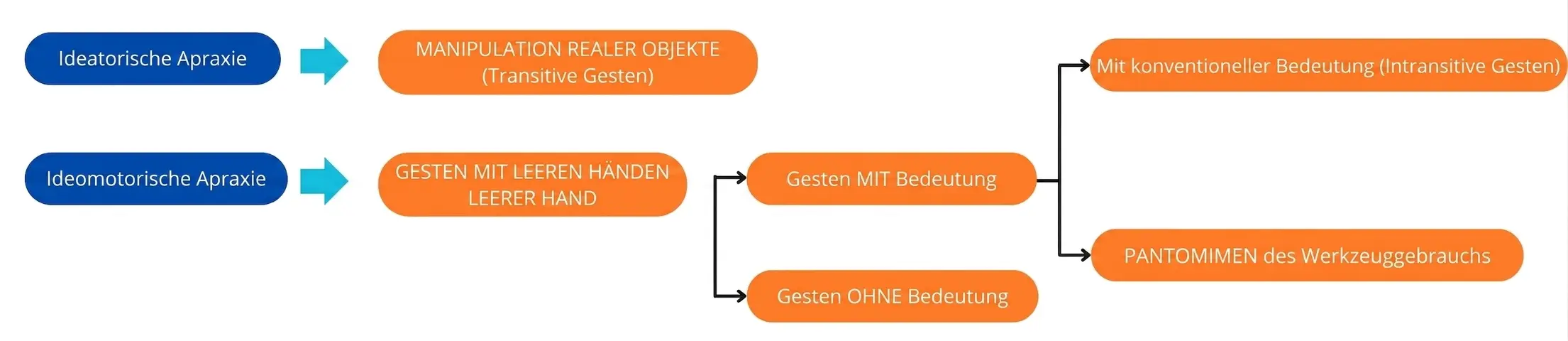 Kurzer Leitfaden zur Literaturübersicht über Apraxien, Bd. 1 Diagramm zur Klassifikation von Gesten bei Apraxien: ideomotorische Beurteilung, Objektmanipulation und bedeutungstragende Gesten.